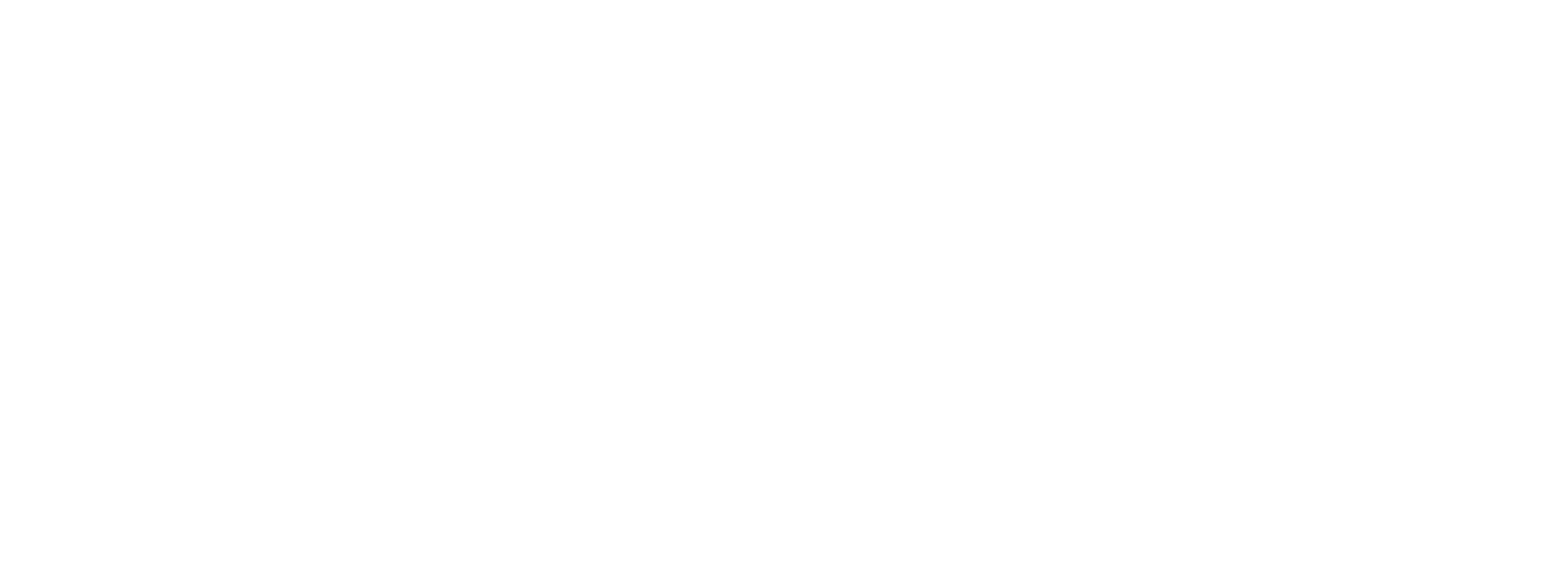 Decomagna-footer-logo